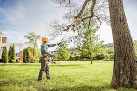 Best Emergency Tree Removal  in Topton, PA